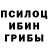 Псилоцибиновые грибы GOLDEN TEACHER Anatolij Grekov