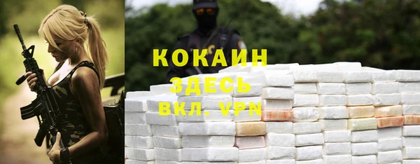 прущие грибы Коряжма