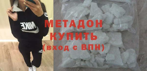 прущие грибы Коряжма