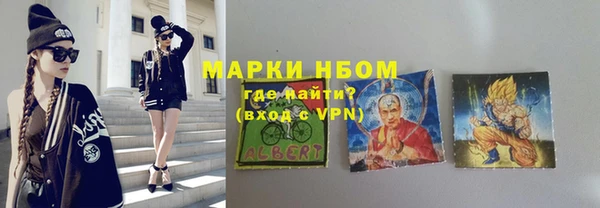 прущие грибы Коряжма