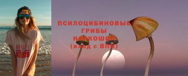 прущие грибы Коряжма