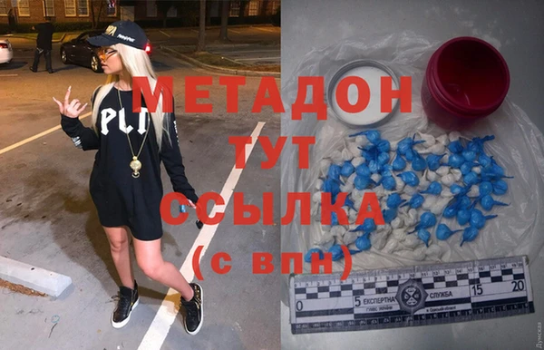 прущие грибы Коряжма