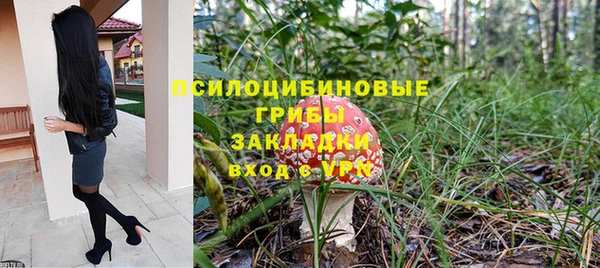 альфа пвп Корсаков