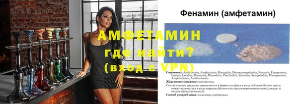 прущие грибы Коряжма
