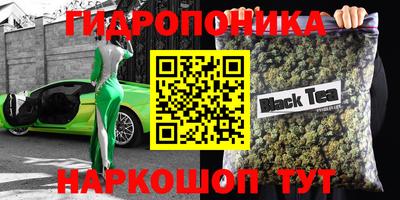 apvp Абакан