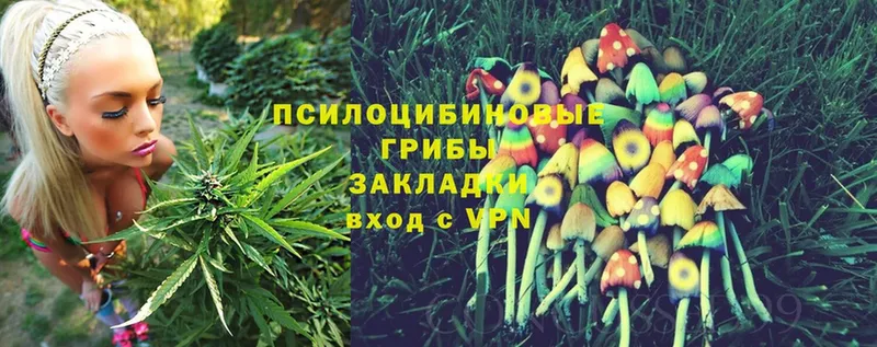 гидра ONION  Георгиевск  Галлюциногенные грибы Magic Shrooms  наркота 