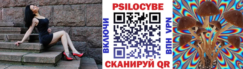 Галлюциногенные грибы Psilocybine cubensis  darknet клад  Георгиевск 