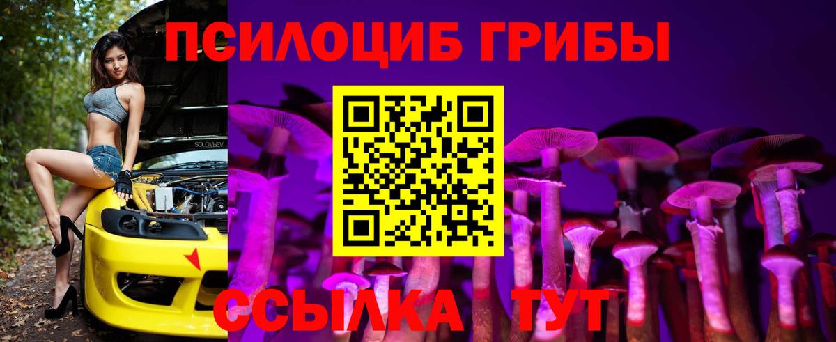 Георгиевск  Псилоцибиновые грибы MAGIC MUSHROOMS  даркнет сайт  Вход с VPN 