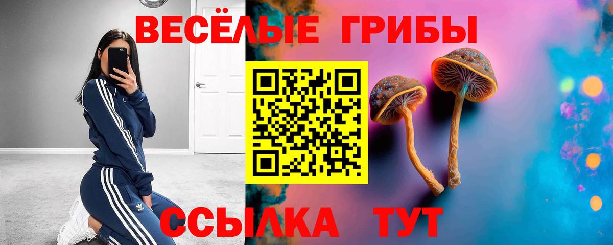 Галлюциногенные грибы ЛСД Георгиевск
